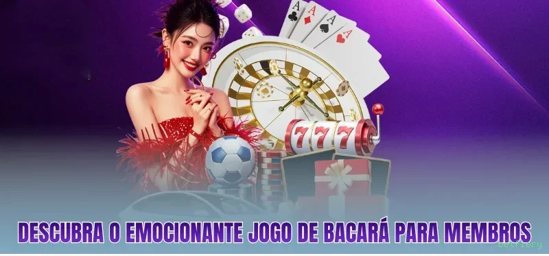 Programa VIP betfiery - benefícios exclusivos